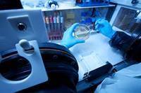 N. 1 (una) posizione a tempo determinato per 24 mesi di Tecnologo di quarto livello nel settore della nutrizione umana (265_CRI_TNU) - scadenza 9 se...