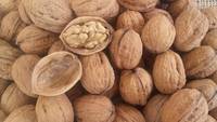 N. 1 (una) posizione a tempo determinato per nr. 36 mesi di Ricercatore di terzo livello (R3) nel settore delle scienze agrarie e qualità del frutt...