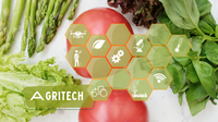 N. 3 (three) non-permanent positions for 4th level Researchers (R4) within the CN Technologies of Agriculture (Agritech) project (329_CRI_AGRITECH)...