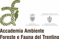 N. 1 (una) posizione a tempo indeterminato di Addetto con funzioni di coordinamento di secondo livello per attività di coordinamento dell’Accadem...