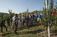 Addetto tecnico di quarto livello per attività di consulenza e supporto alle attività sperimentali in frutticoltura e viticoltura - Selezione per...