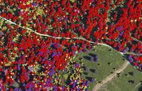 N. 1 (one) temporary position for 18 months as Fourth level Researcher (R4) in the field of remote sensing and data analysis within the Highlander p...