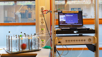 N. 1 (one) temporary position for 20 months* as Fourth level researcher (R4) in the field of food science and technology (313_CRI_FST) - deadline fo...