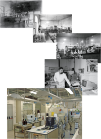 N. 1 (uno) posizione a tempo determinato di Tecnologo di quarto livello nel settore della chimica alimentare - Selezione per la formazione di una gr...