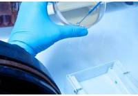 Researcher in Molecular Microbiology – Recruiting for the formation of ranking for temporary employee contract (152_CRI_RMM) - deadline June 26, 2...