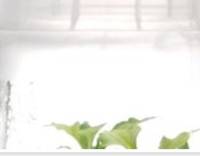Technologist for apple, soft fruit transformation and in vitro culture (146_CRI_TVC) - deadline February 20, 2014
